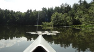 A good Sankalpa points the way toward embodied action. 