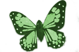 Green Butterfly